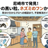 【尼崎市】黒い粒が落ちている…ネズミのフンの可能性と放置リスク