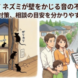 【相模原市】ネズミ？「壁をかじる音」や「かじり跡」があるときの確認ポイント