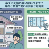 ネズミの死骸の臭いはいつまで続く？日数の目安と今すぐやること