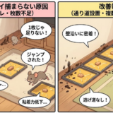 ネズミホイホイが捕まらない原因は？3分診断と置き方の正解
