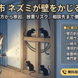 川崎市で壁をかじられている？ネズミ被害の可能性と放置リスク