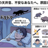 川崎市で天井から音がする原因は？ネズミの可能性と放置リスクを解説